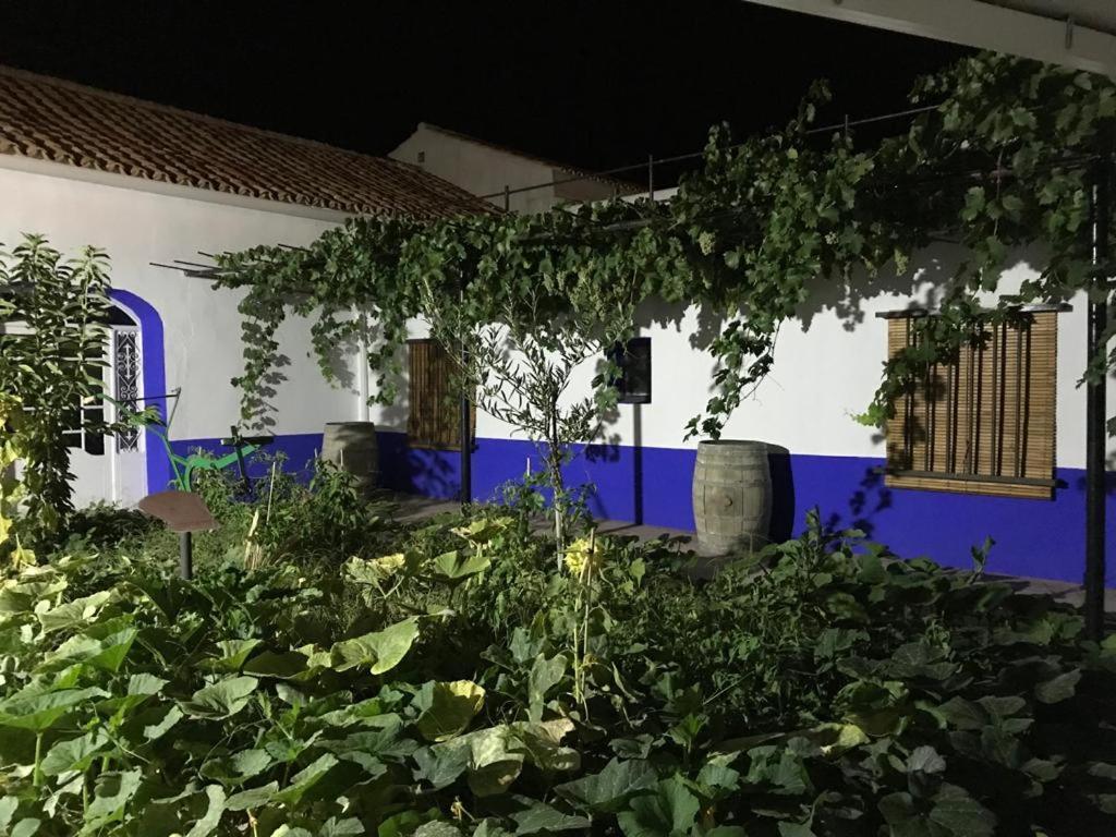Casa Rural Manchega La Alameda de Cervera Luaran gambar