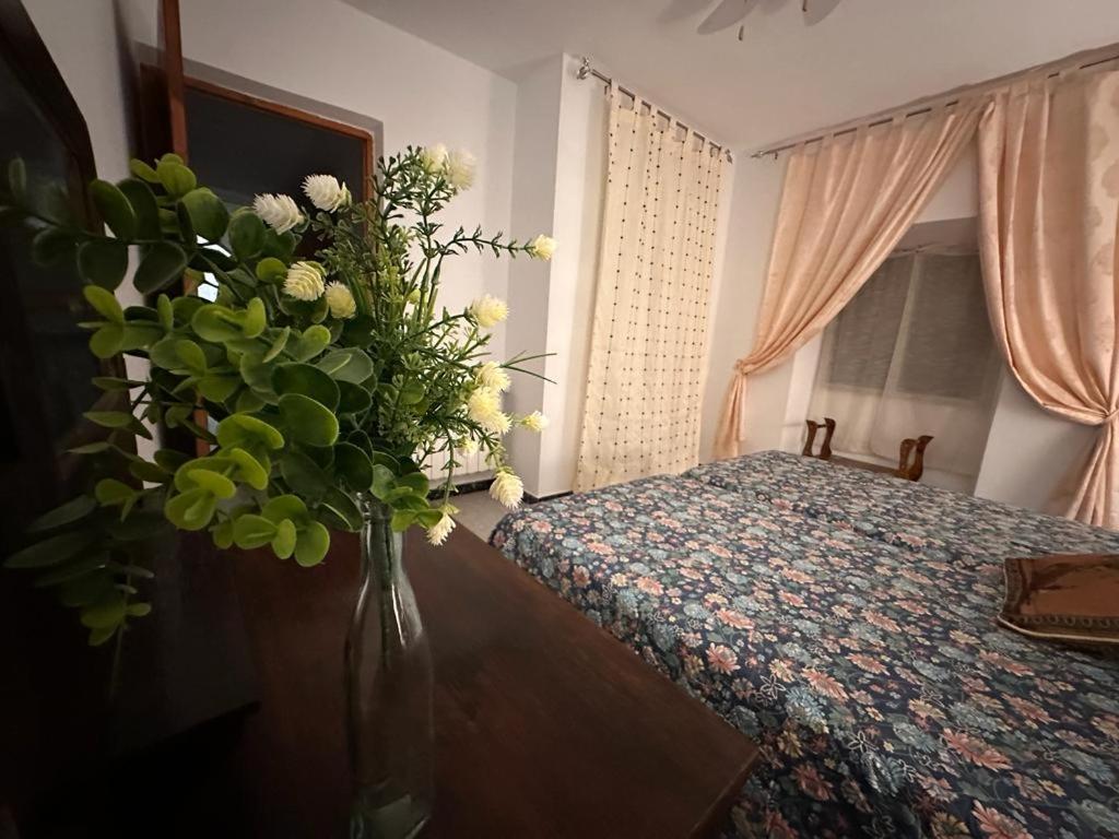 Casa Rural Manchega La Alameda de Cervera Luaran gambar