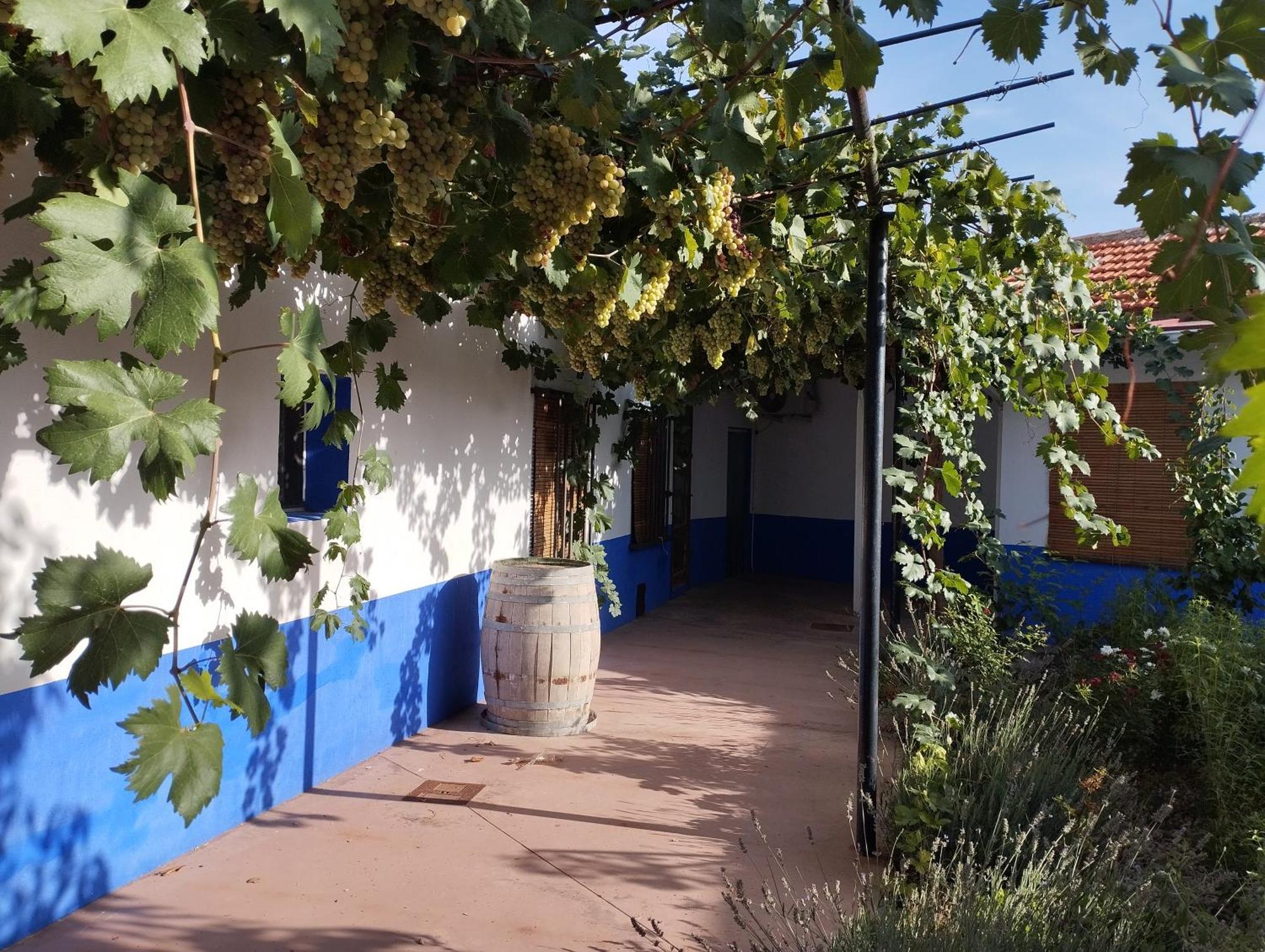 Casa Rural Manchega La Alameda de Cervera Luaran gambar